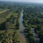 Pelajaran dari Kemitraan: Investasi PT ISI sebagai Contoh Kerjasama yang Positif dengan Masyarakat